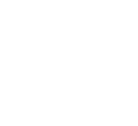 Point 3 低コストで即時導入可能