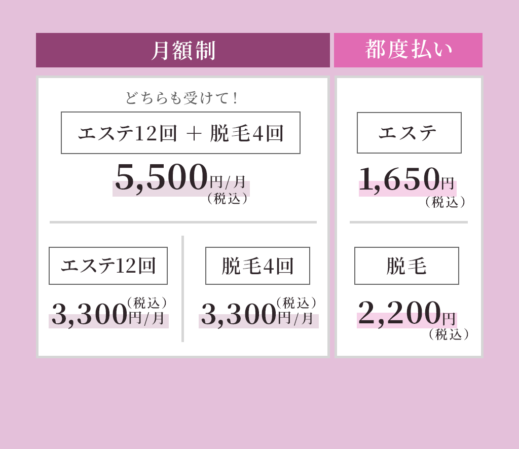月額制 都度払い