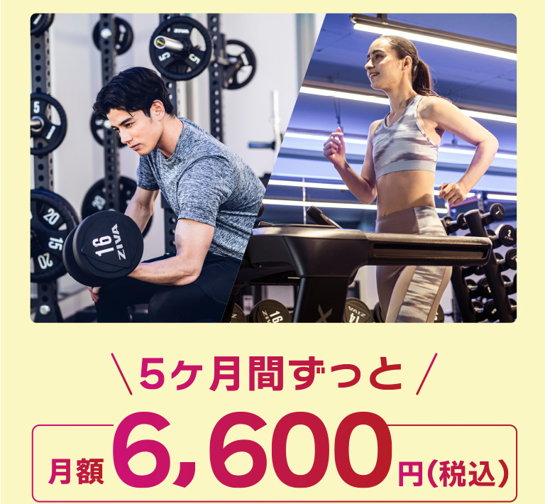 5ヶ月間ずっと月額6,600円（税込）