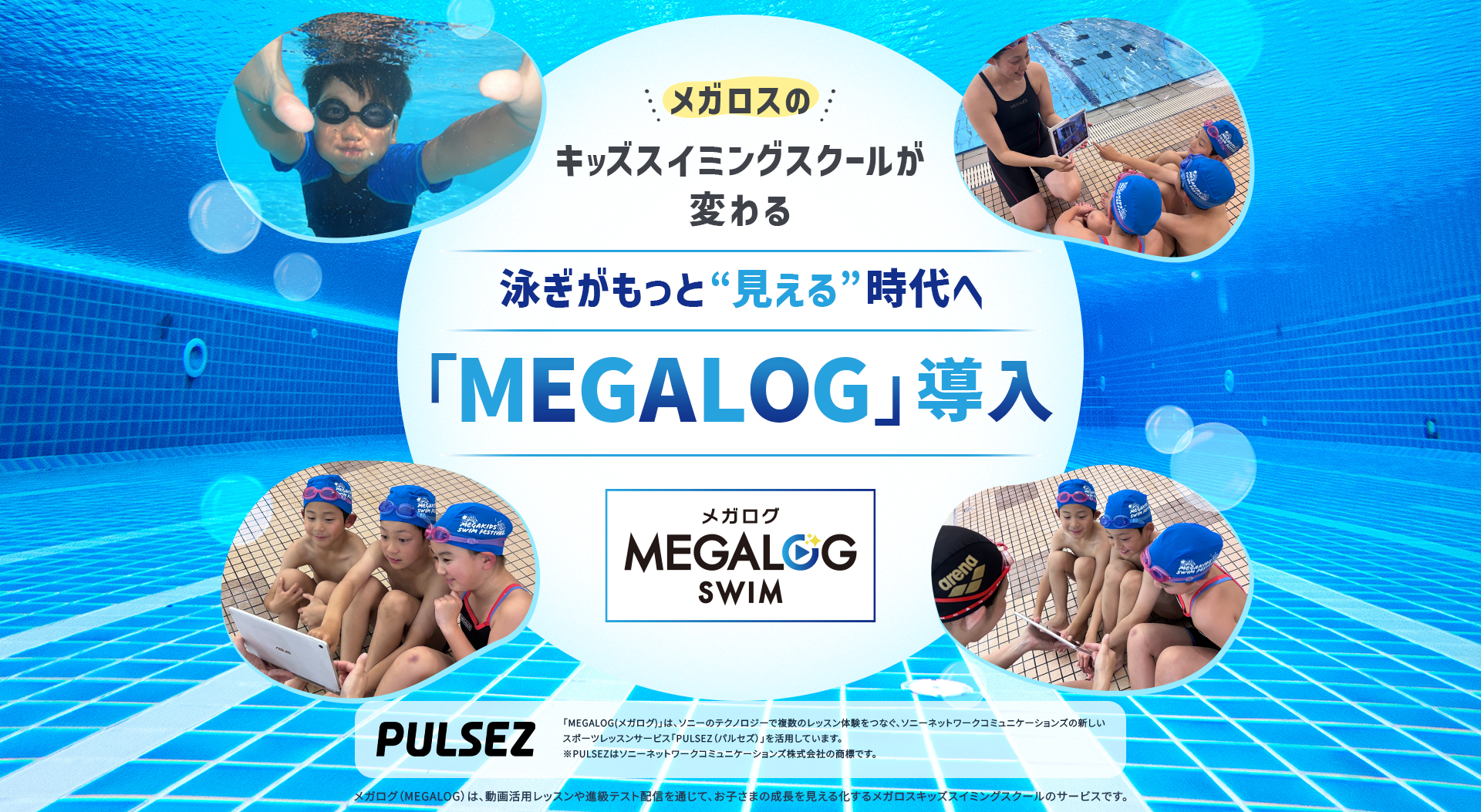 導入スケジュール