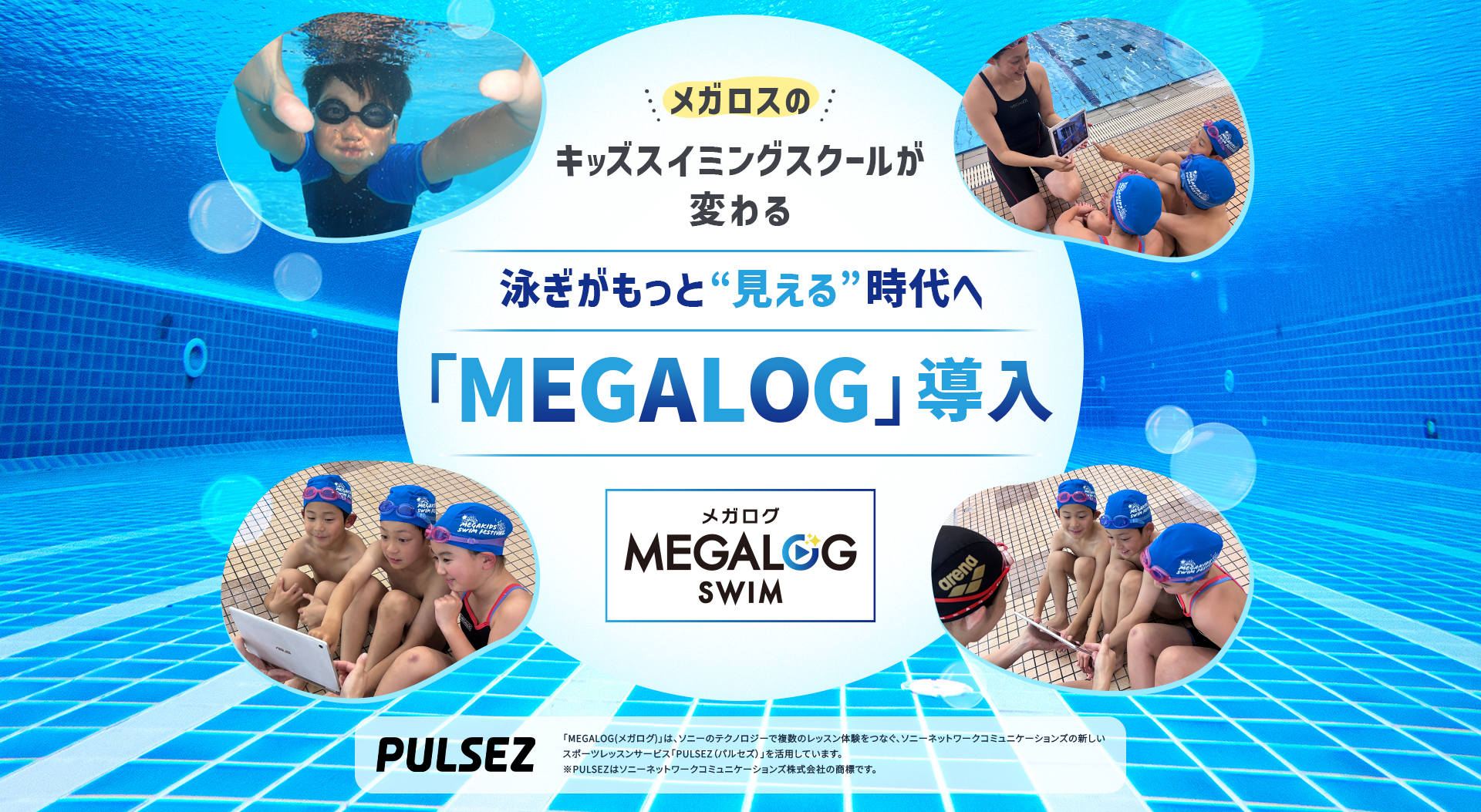導入スケジュール