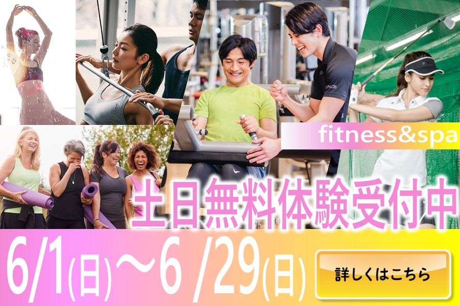 メガロス柏イメージ