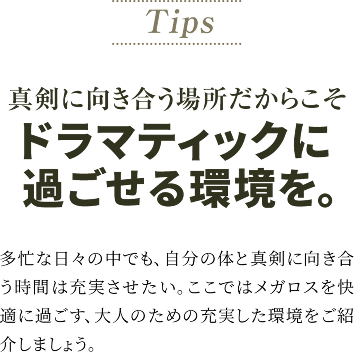 tipsのテキスト