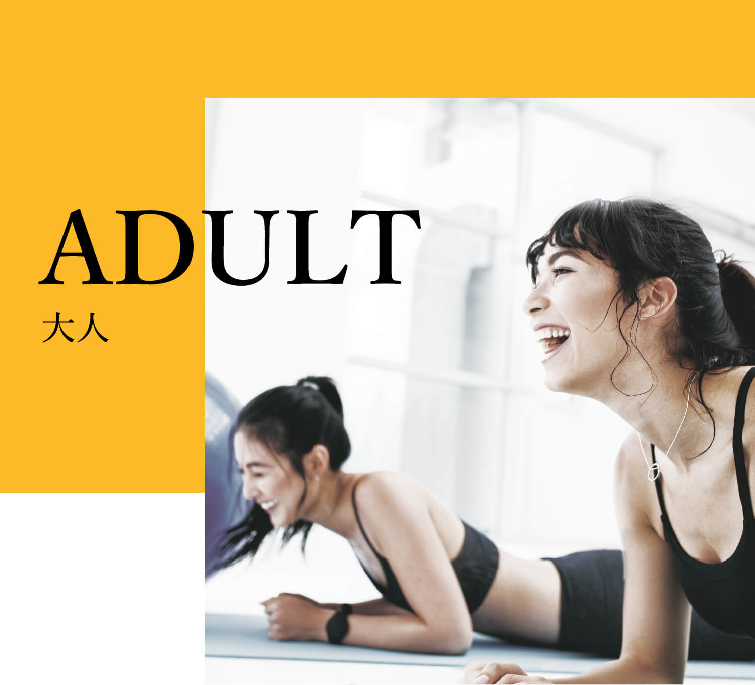 ADULT 大人