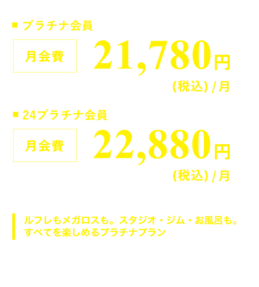 月会費（税込）17,380 円
